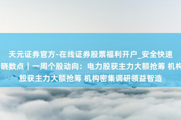 天元证券官方-在线证券股票福利开户_安全快速配资杠杆在线开户 晓数点｜一周个股动向：电力股获主力大额抢筹 机构密集调研领益智造