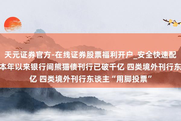 天元证券官方-在线证券股票福利开户_安全快速配资杠杆在线开户 本年以来银行间熊猫债刊行已破千亿 四类境外刊行东谈主“用脚投票”