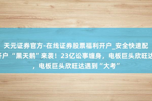 天元证券官方-在线证券股票福利开户_安全快速配资杠杆在线开户 “黑天鹅”来袭！23亿讼事缠身，电板巨头欣旺达遇到“大考”