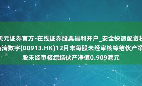 天元证券官方-在线证券股票福利开户_安全快速配资杠杆在线开户 港湾数字(00913.HK)12月末每股未经审核综结伙产净值0.909港元